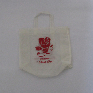 White Gift Bag
