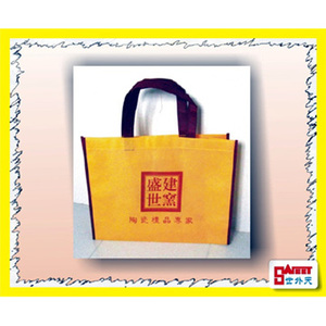 Non woven Bag