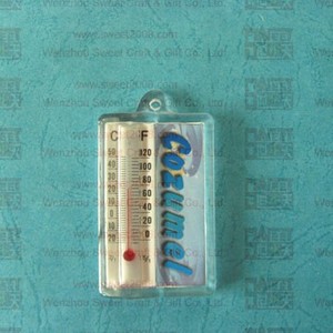 Keychain with Thermograph