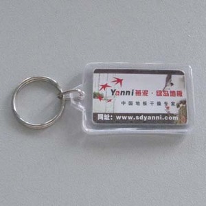 Plastic Key Chain